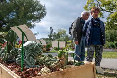 Genova, parchi di Nervi - Euroflora 25 Aprile