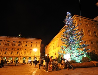 Genova - piazza De Ferrari - albero di natale
