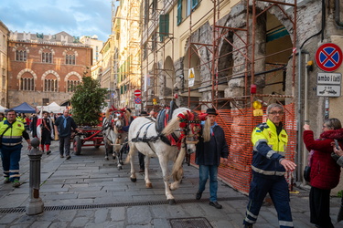 Genova, tradizionale cerimonia Confuego