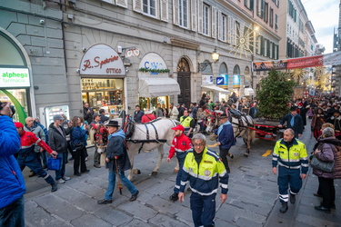 Genova, tradizionale cerimonia Confuego