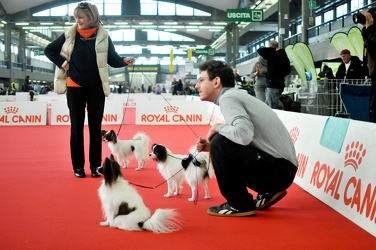 Esposizione Internazionale  canina