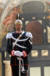 presidente della repubblica Giorgio Napolitano