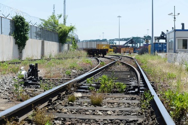 Genova, porto - viaggio dentro il VTE, Voltri Terminal Europa