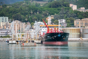 Genova, viaggio tra i cantieri aperti nel porto