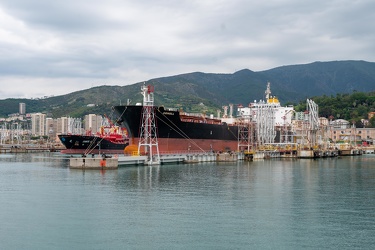 Genova, viaggio tra i cantieri aperti nel porto