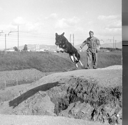 1941 Roma - Vigili del Fuoco sez. Cinfola