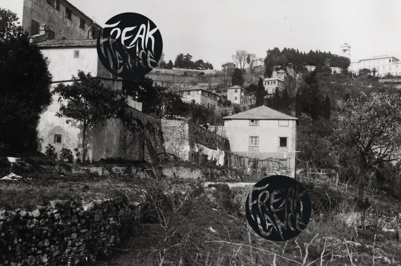 f_stor_Ge_bachernia_1927-628.jpg
