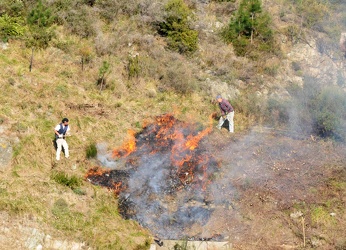 incendio bonassola 0309