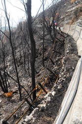 Ge - monte Moro post incendio