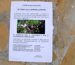 boa stazzano 072010