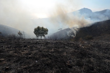 Genova - zona Scarpino, Borzoli - incendio