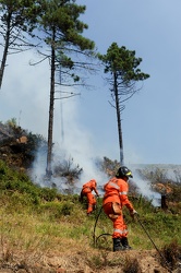 incendio Pra 08 09 012