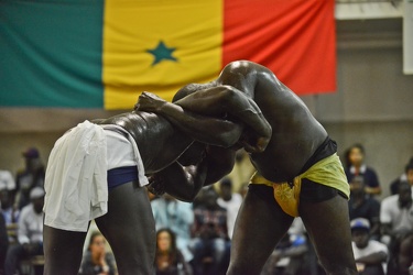 torneo di lotta senegalese