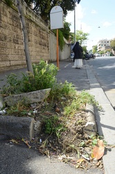 Genova - quartiere di Albaro - Via De Gasperi - lamentele degli 