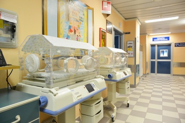 Genova - ospedale Gaslini - reparto cardiologia - furto di un ec