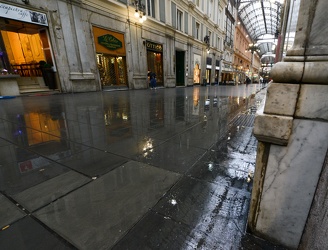 infiltrazione gall mazzini 2 27 04 013
