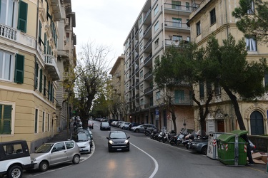 Genova, Corso Carbonara - i platani tagliati causa cantiere metr