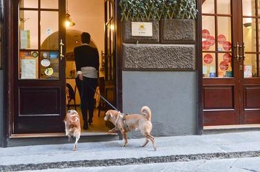 ristoranti aperti cani
