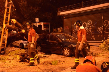 Genova - piazza Manin - albero crolla schiacciando due automobil