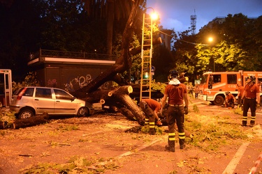 Genova - piazza Manin - albero crolla schiacciando due automobil