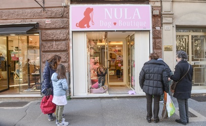 Nula Dog Boutique