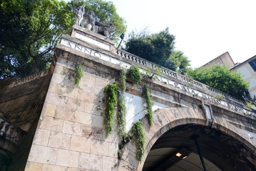 Genova - erbacce infestanti avventizie in centro