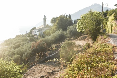 incendi Sant apollinare 22082015