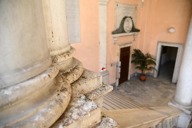 Genova - piccioni a Palazzo Tursi