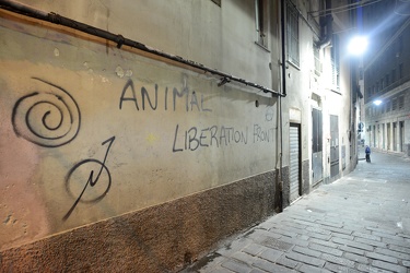 Genova, centro storico - scritta animal liberatiom front in vico