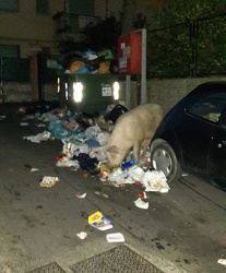 Genova - emergenza spazzatura in via Mansueto, quartiere Certosa