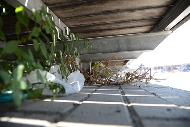 Genova, Darsena, zona Galata - passeggiata in legno