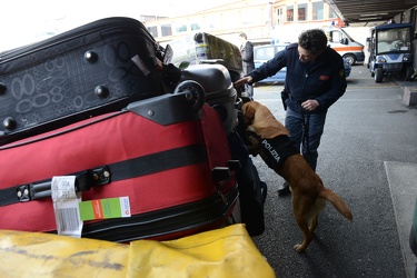 160302 cane polizia aeroporto