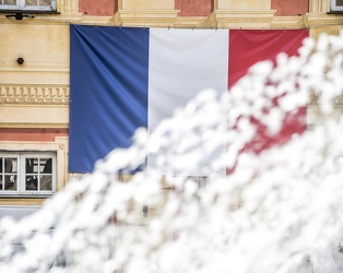 bandiera francia ducale 072016-2419