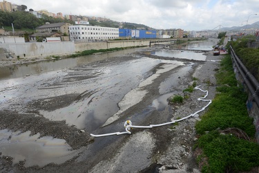 Genova, torrente Polcevera - sversamento di petrolio nel torrent