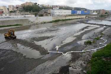 Genova, torrente Polcevera - sversamento di petrolio nel torrent