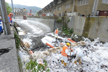 Genova, torrente Polcevera - sversamento di petrolio nel torrent