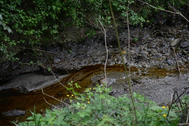 Genova, torrente Polcevera - sversamento di petrolio nel torrent