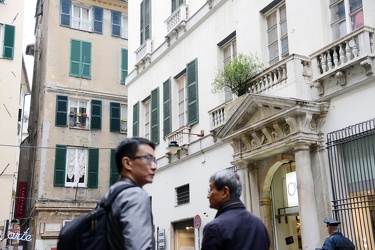 Genova, piazza Campetto - un albero di melograno cresce spontane