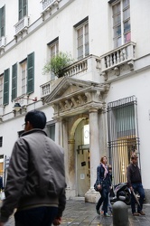 Genova, piazza Campetto - un albero di melograno cresce spontane