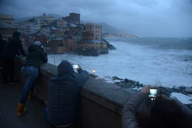 Genova - allerta maltempo rossa