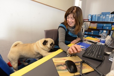 Genova - cani negli uffici comunali, la proposta assessore alla 