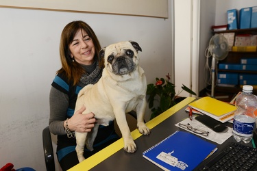 Genova - cani negli uffici comunali, la proposta assessore alla 