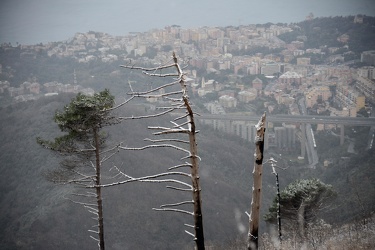 Genova - maltempo e basse temperature