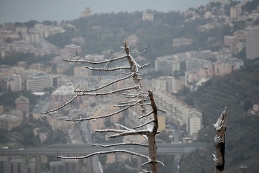 Genova - maltempo e basse temperature