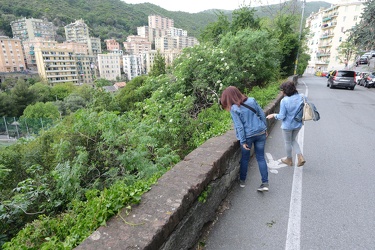 Genova, Borgoratti, via tanini - anziana cade oltre il muretto