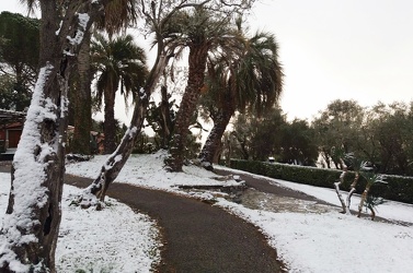 Genova - timida neve in centro in mattinata