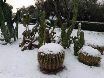 Genova - timida neve in centro in mattinata