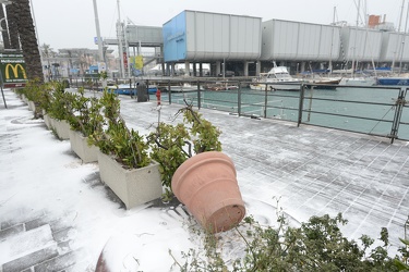 Genova - allerta arancione neve - freddo, vento e maltempo