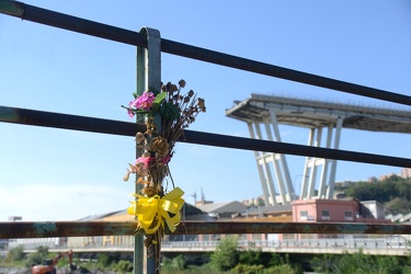 Genova, Certosa - fiori sullo sfondo del ponte Morandi crollato