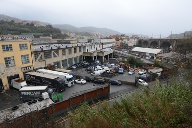 Genova, tra Fegino e Trasta - zona via Evandro Ferri, area con V